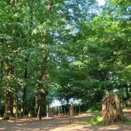 Maison Sur Les Hauteurs De La * Pouzauges