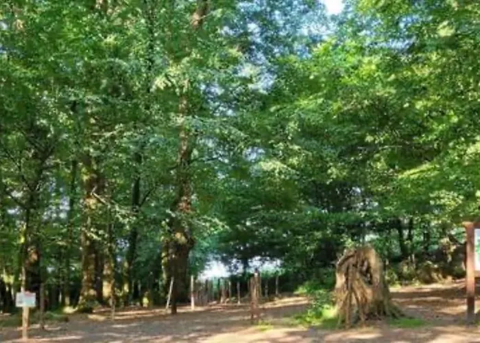 Maison Sur Les Hauteurs De La * Pouzauges